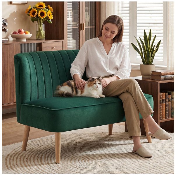 HOMCOM 2-Sitzer Sitzmöbel, Loungesofa, aus Holz, Samtartiges Polyster, Schaumstoff, Doppelsofa 1 Teile, für Wohnzimmer, Schlafzimmer, 117 x 56,5 x 77 cm, Dunkel