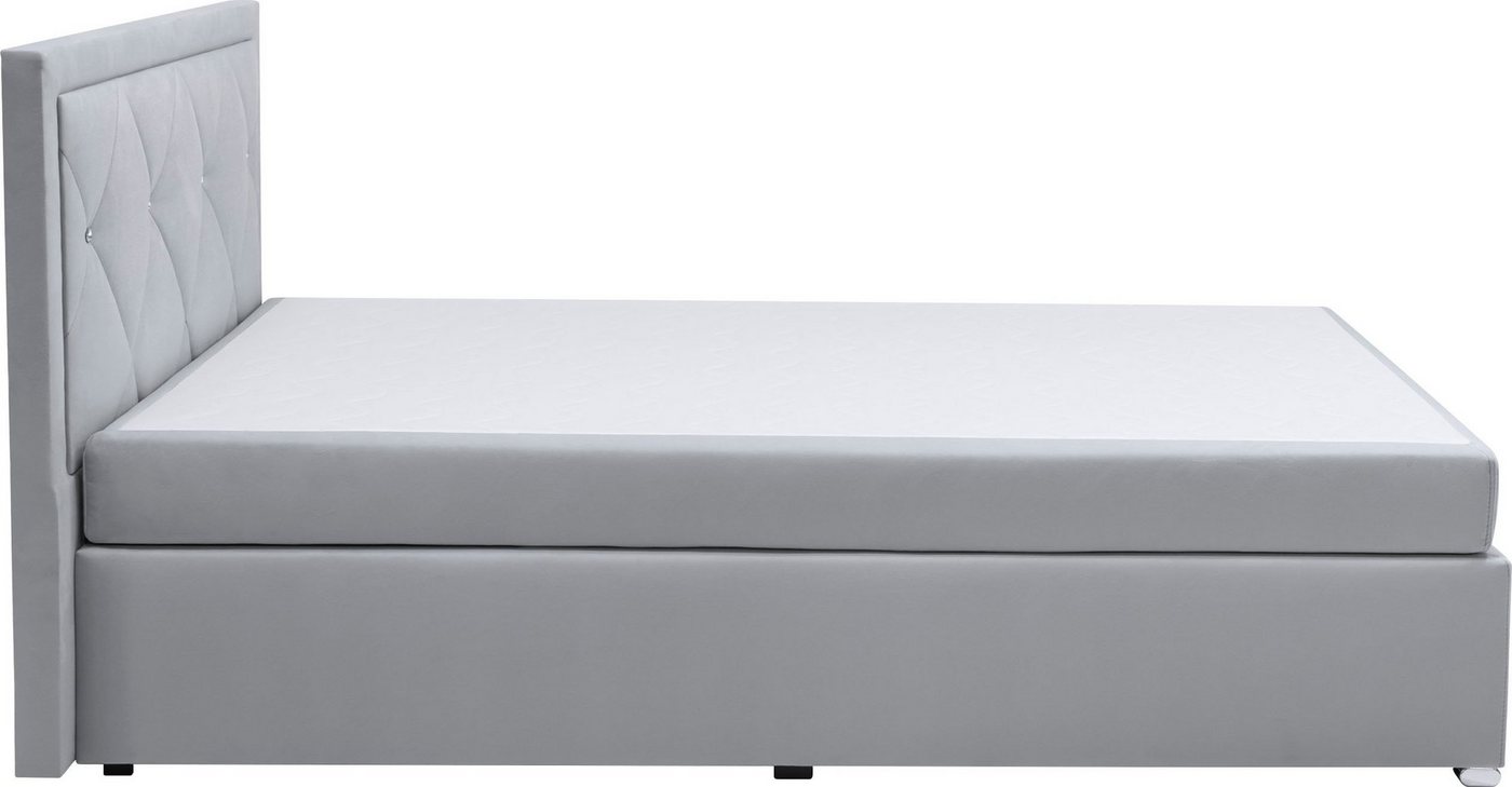 Home affaire Boxbett ALFIE, Polsterbett wahlweise mit Bettkasten, Samtvelours-Bezug (mit PUR-Schaumtopper (H2), Kaltschaumtopper (H3) oder Viscotopper (H4), mit – Bild 4 von 5