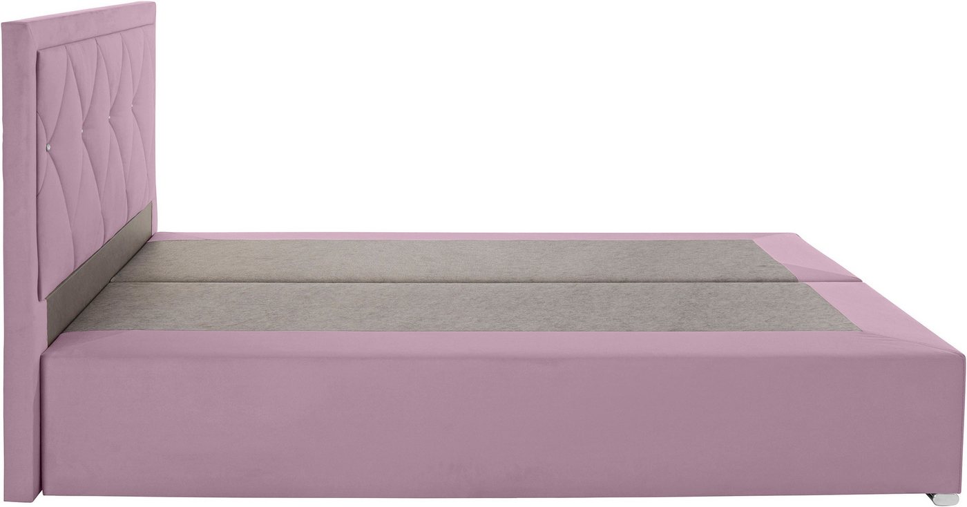 Home affaire Boxbett ALFIE, Polsterbett wahlweise mit Bettkasten, Samtvelours-Bezug (mit PUR-Schaumtopper (H2), Kaltschaumtopper (H3) oder Viscotopper (H4), mit – Bild 3 von 5