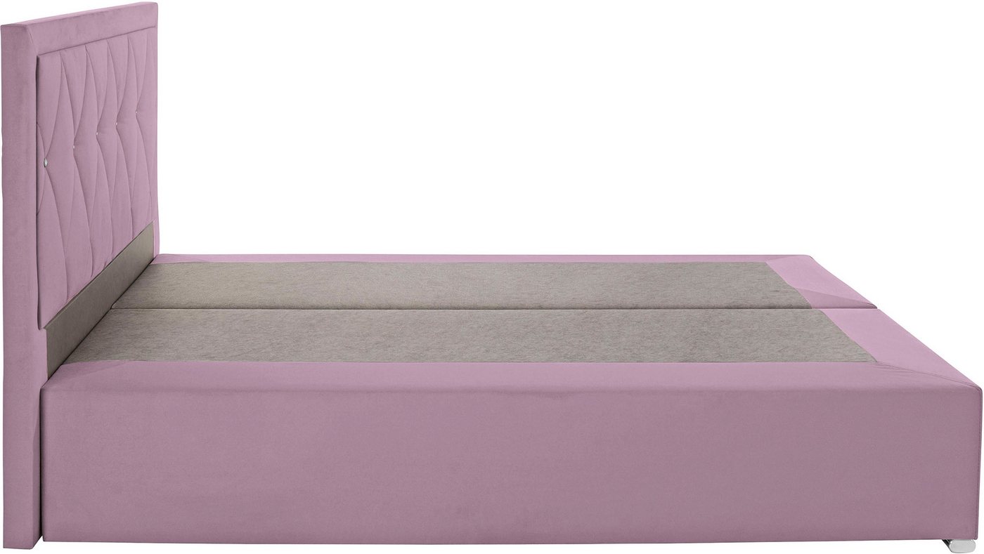 Home affaire Boxbett ALFIE, Polsterbett wahlweise mit Bettkasten, Samtvelours-Bezug (mit PUR-Schaumtopper (H2), Kaltschaumtopper (H3) oder Viscotopper (H4), mit – Bild 3 von 5