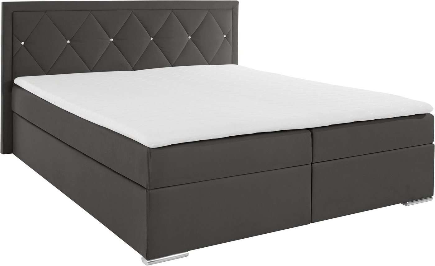 Home affaire Boxbett ALFIE, Polsterbett wahlweise mit Bettkasten, Samtvelours-Bezug (mit PUR-Schaumtopper (H2), Kaltschaumtopper (H3) oder Viscotopper (H4), mit – Bild 2 von 5