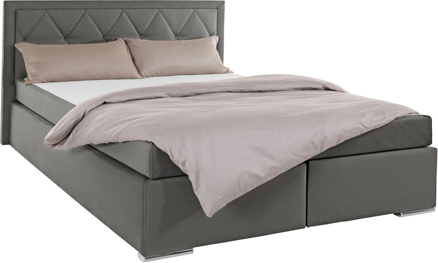 Home affaire Boxbett ALFIE, Polsterbett wahlweise mit Bettkasten, Samtvelours-Bezug (mit PUR-Schaumtopper (H2), Kaltschaumtopper (H3) oder Viscotopper (H4), mit – Bild 2 von 5