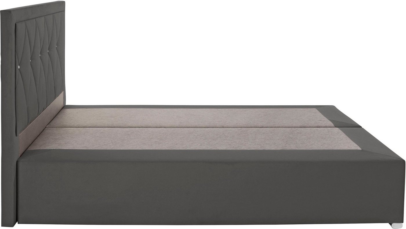 Home affaire Boxbett ALFIE, Polsterbett wahlweise mit Bettkasten, Samtvelours-Bezug (mit PUR-Schaumtopper (H2), Kaltschaumtopper (H3) oder Viscotopper (H4), mit – Bild 3 von 5