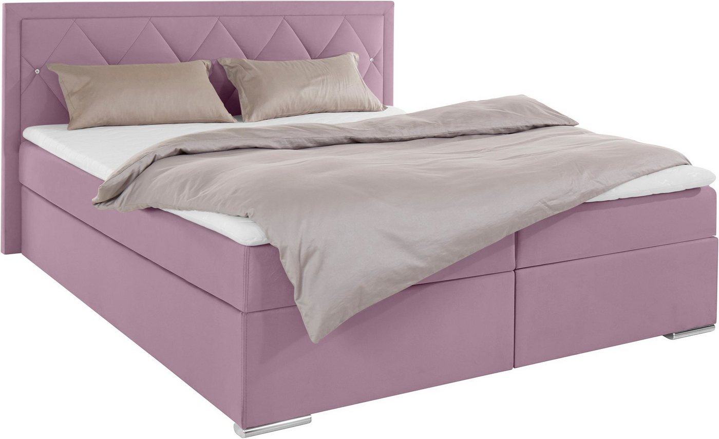 Home affaire Boxbett ALFIE, Polsterbett wahlweise mit Bettkasten, Samtvelours-Bezug (mit PUR-Schaumtopper (H2), Kaltschaumtopper (H3) oder Viscotopper (H4), mit – Bild 3 von 5