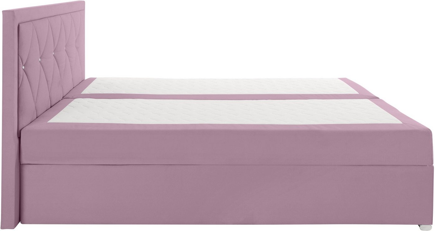 Home affaire Boxbett ALFIE, Polsterbett wahlweise mit Bettkasten, Samtvelours-Bezug (mit PUR-Schaumtopper (H2), Kaltschaumtopper (H3) oder Viscotopper (H4), mit – Bild 5 von 5