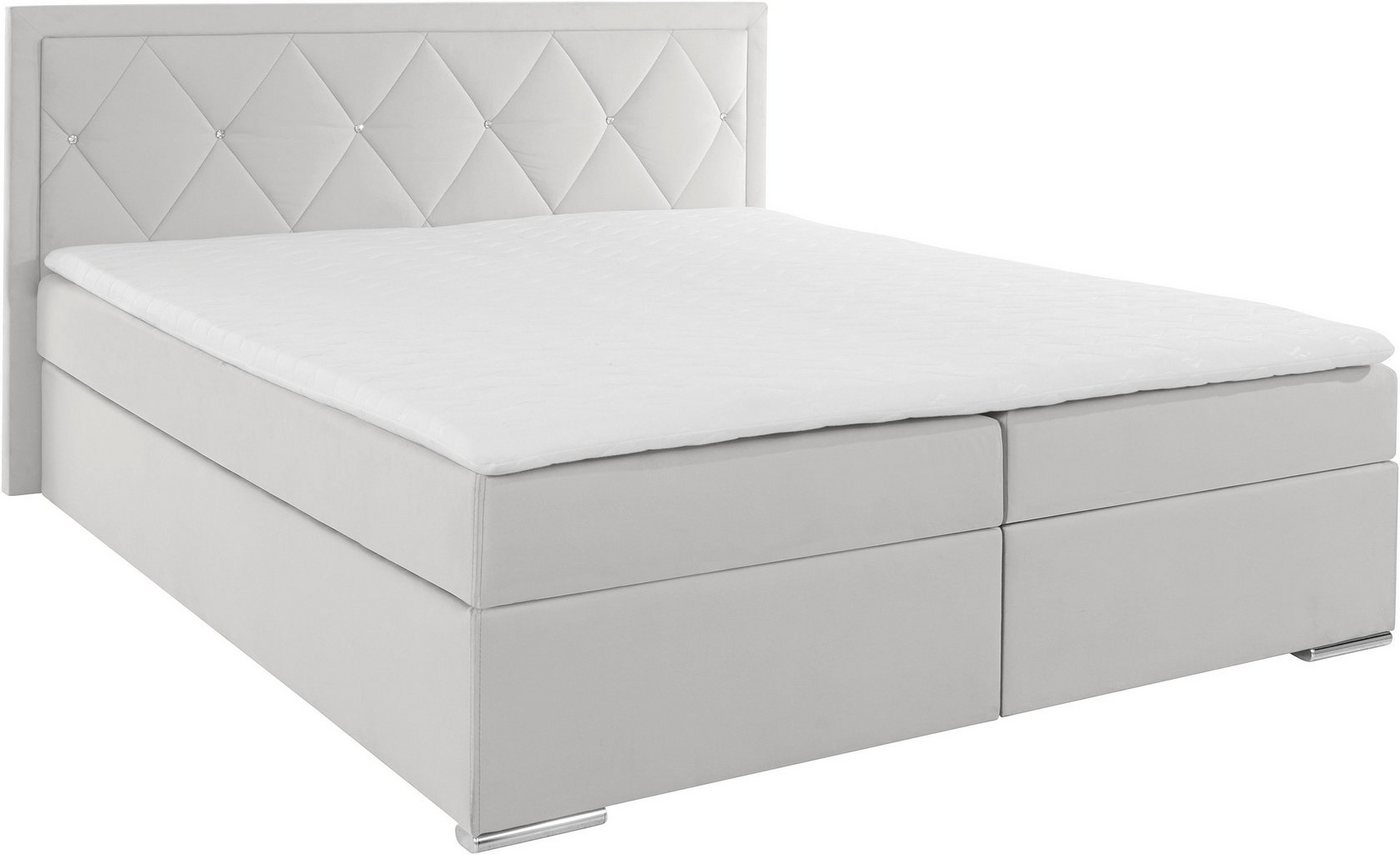 Home affaire Boxbett ALFIE, Polsterbett wahlweise mit Bettkasten, Samtvelours-Bezug (mit PUR-Schaumtopper (H2), Kaltschaumtopper (H3) oder Viscotopper (H4), mit – Bild 2 von 5