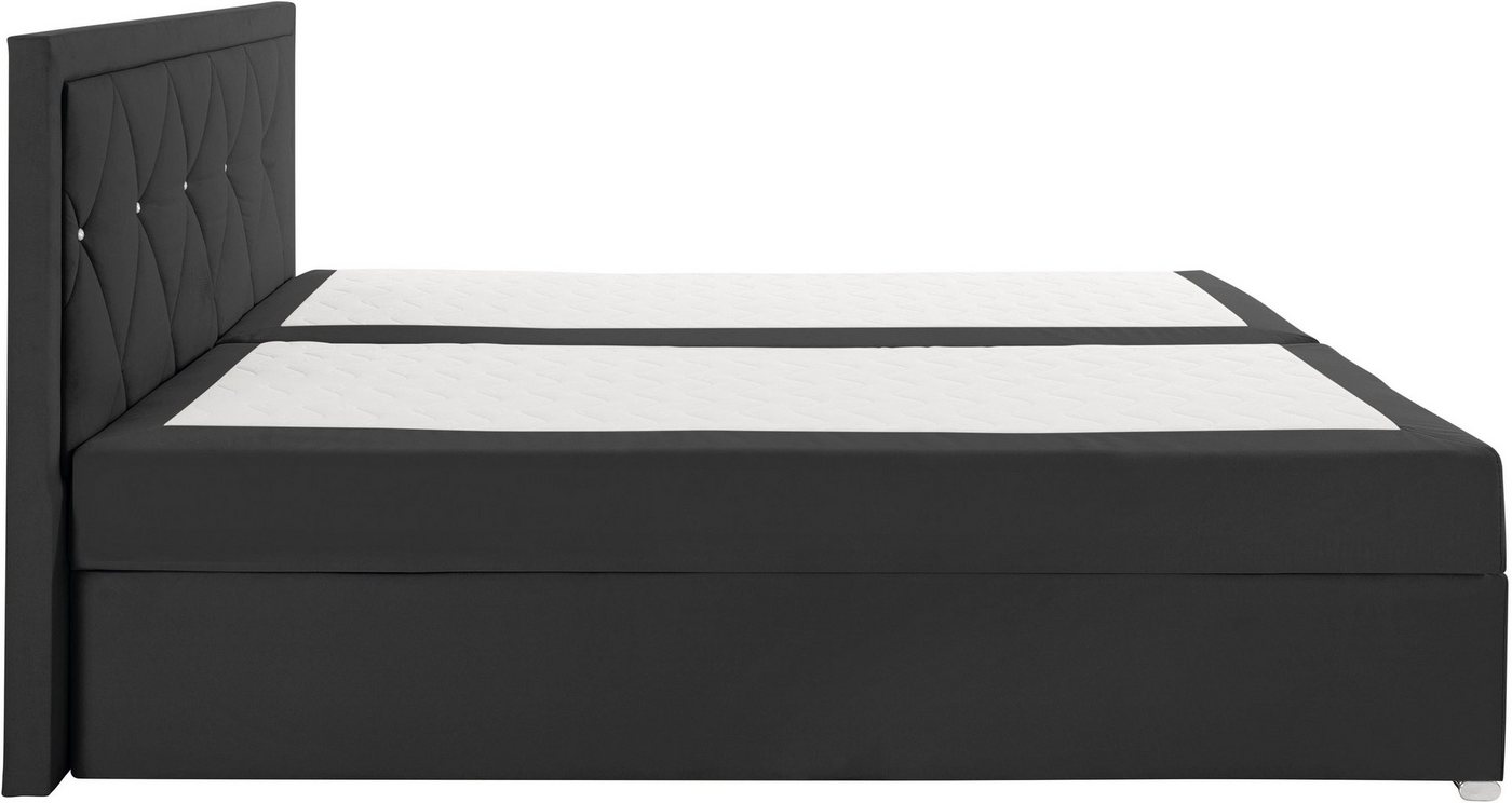 Home affaire Boxbett ALFIE, Polsterbett wahlweise mit Bettkasten, Samtvelours-Bezug (mit PUR-Schaumtopper (H2), Kaltschaumtopper (H3) oder Viscotopper (H4), mit – Bild 5 von 5