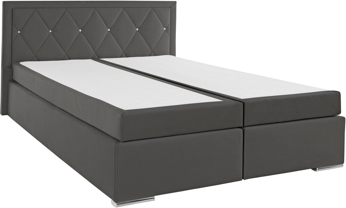 Home affaire Boxbett ALFIE, Polsterbett wahlweise mit Bettkasten, Samtvelours-Bezug (mit PUR-Schaumtopper (H2), Kaltschaumtopper (H3) oder Viscotopper (H4), mit – Bild 2 von 5