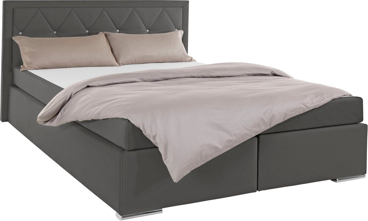 Home affaire Boxbett ALFIE, Polsterbett wahlweise mit Bettkasten, Samtvelours-Bezug (mit PUR-Schaumtopper (H2), Kaltschaumtopper (H3) oder Viscotopper (H4), mit – Bild 3 von 5