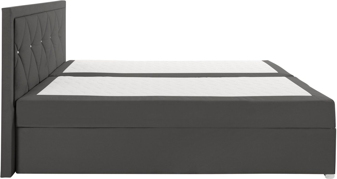 Home affaire Boxbett ALFIE, Polsterbett wahlweise mit Bettkasten, Samtvelours-Bezug (mit PUR-Schaumtopper (H2), Kaltschaumtopper (H3) oder Viscotopper (H4), mit – Bild 5 von 5