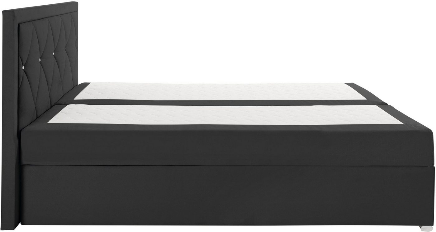 Home affaire Boxbett ALFIE, Polsterbett wahlweise mit Bettkasten, Samtvelours-Bezug (mit PUR-Schaumtopper (H2), Kaltschaumtopper (H3) oder Viscotopper (H4), mit – Bild 5 von 5