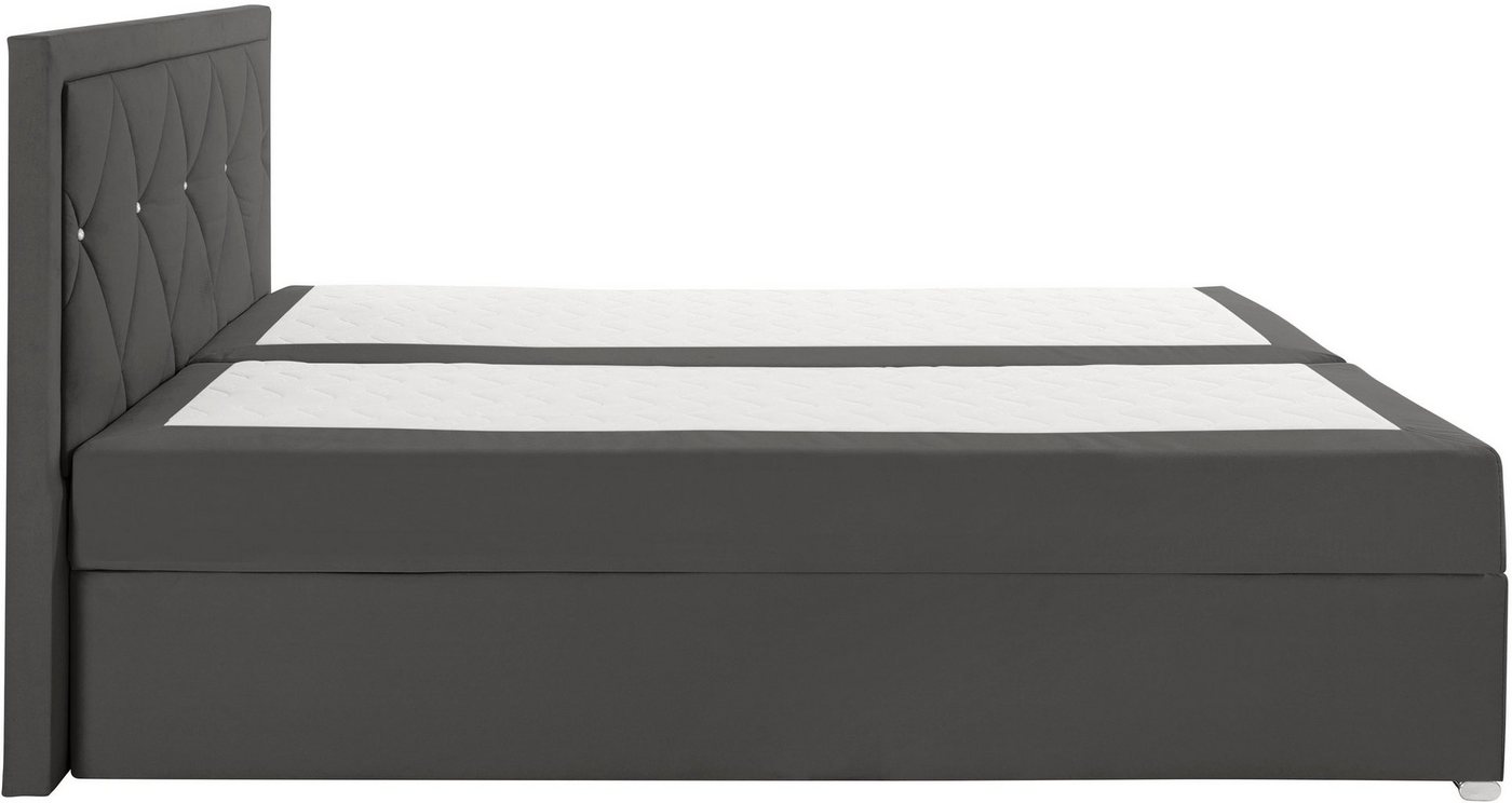 Home affaire Boxbett ALFIE, Polsterbett wahlweise mit Bettkasten, Samtvelours-Bezug (mit PUR-Schaumtopper (H2), Kaltschaumtopper (H3) oder Viscotopper (H4), mit – Bild 5 von 5