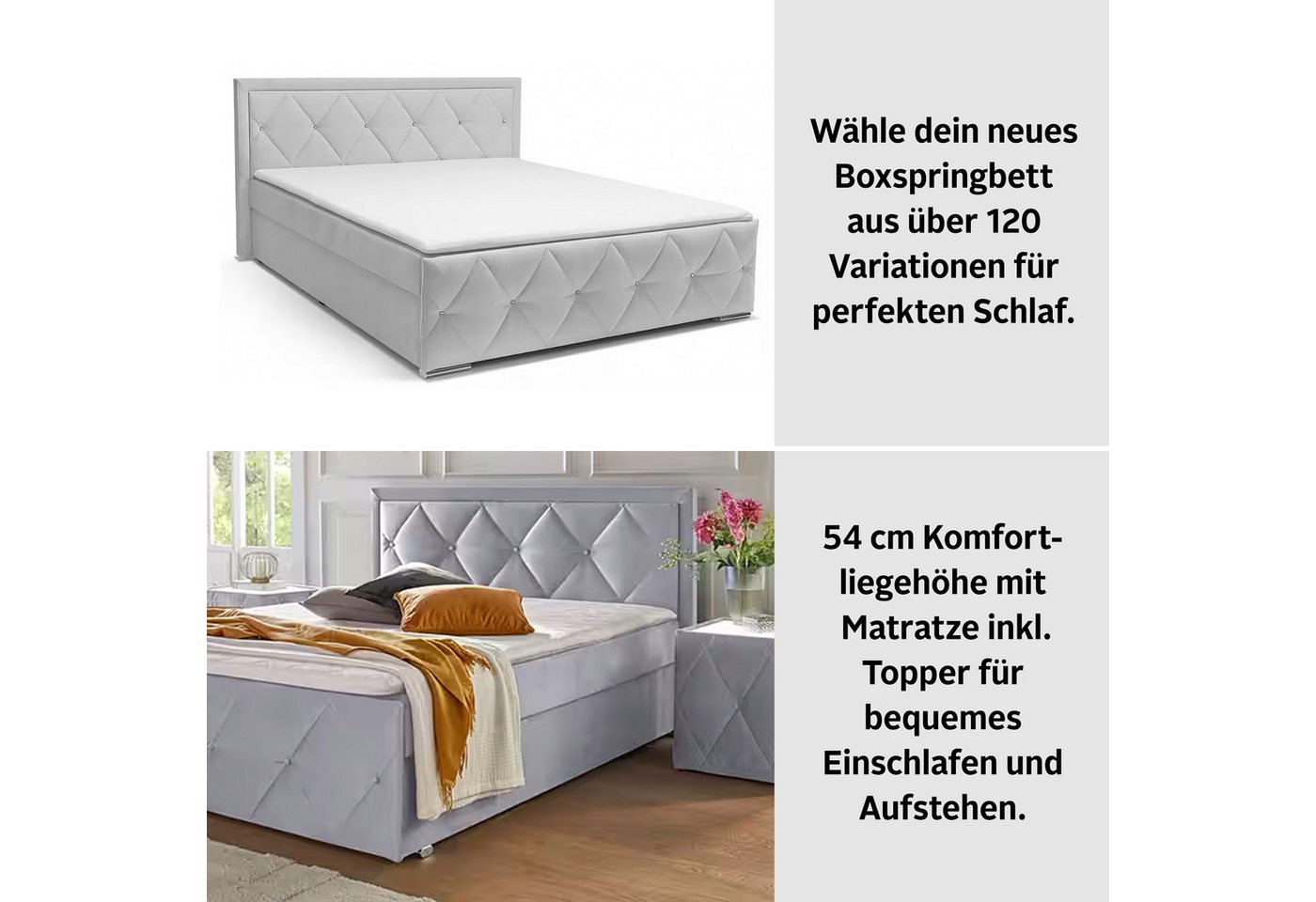 Home affaire Boxbett ALFIE, Stauraumbett mit Bettkasten, Bonnell- oder TFK-Matratze H2-H4 (mit Knopfsteppung oder Strasssteinen), inkl. Topper, Samtvelours-Stof – Bild 3 von 5
