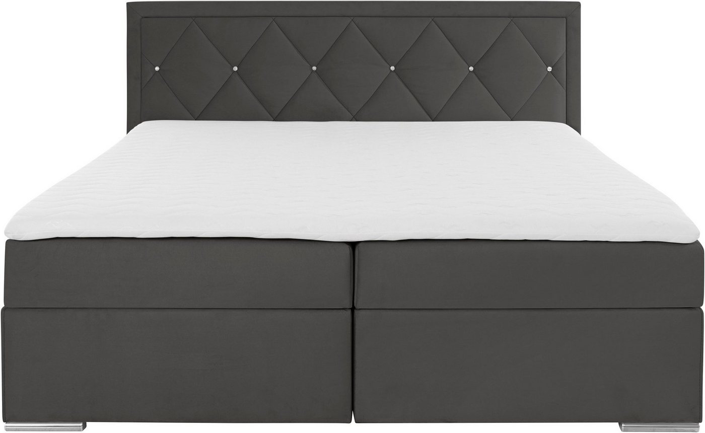 Home affaire Boxbett ALFIE, Polsterbett wahlweise mit Bettkasten, Samtvelours-Bezug (mit PUR-Schaumtopper (H2), Kaltschaumtopper (H3) oder Viscotopper (H4), mit – Bild 4 von 5