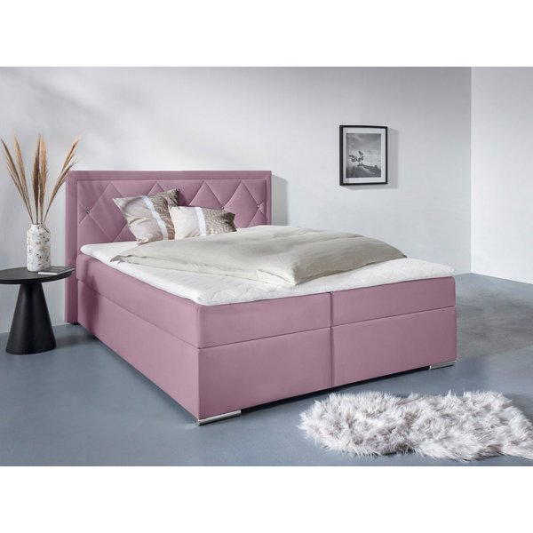 Home affaire Boxbett ALFIE, Polsterbett wahlweise mit Bettkasten, Samtvelours-Bezug (mit PUR-Schaumtopper (H2), Kaltschaumtopper (H3) oder Viscotopper (H4), mit