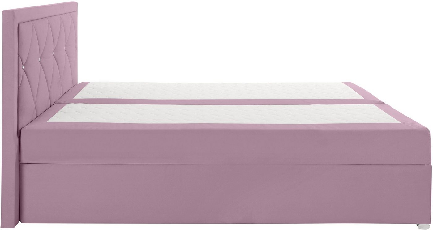 Home affaire Boxbett ALFIE, Polsterbett wahlweise mit Bettkasten, Samtvelours-Bezug (mit PUR-Schaumtopper (H2), Kaltschaumtopper (H3) oder Viscotopper (H4), mit – Bild 5 von 5