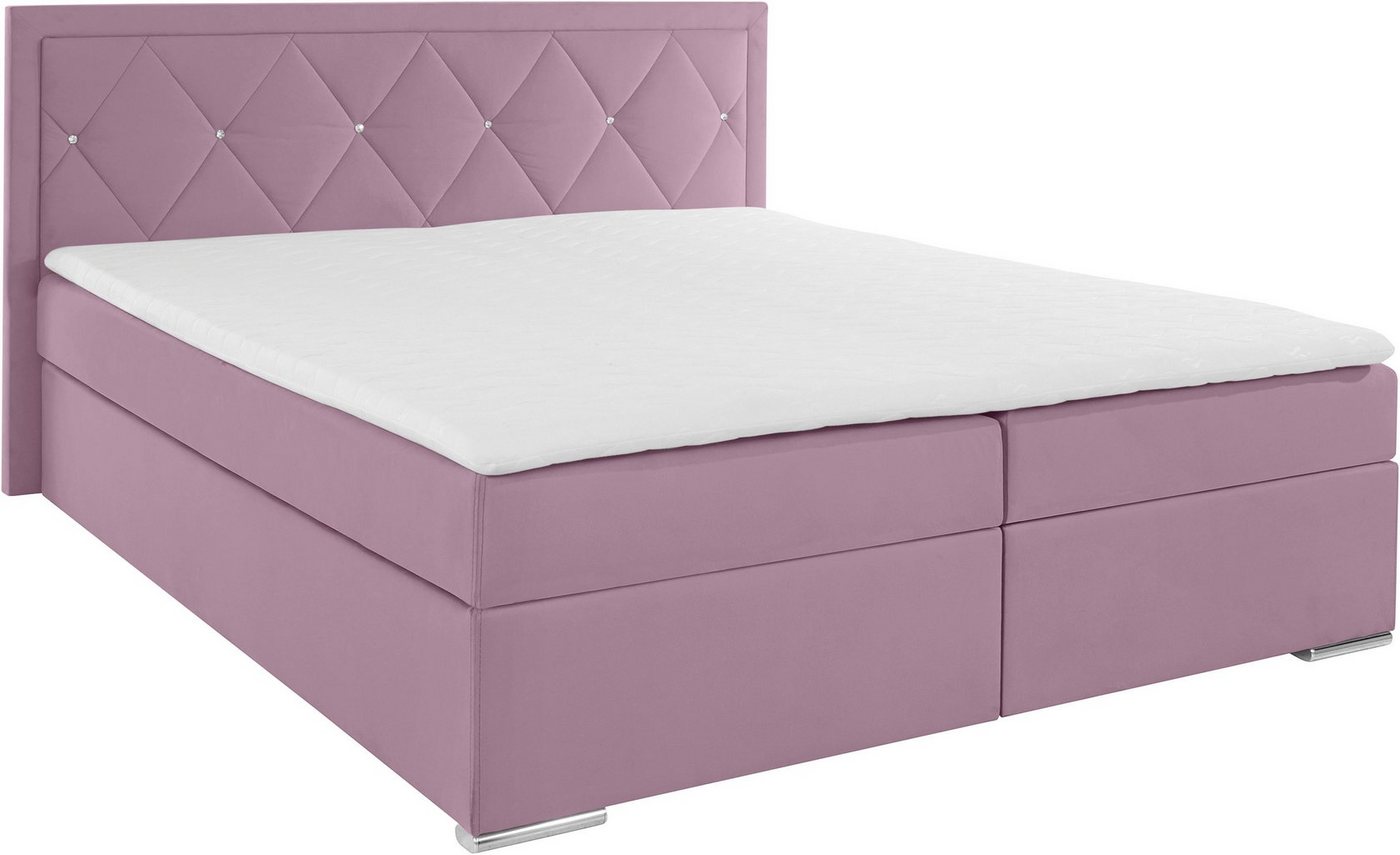 Home affaire Boxbett ALFIE, Polsterbett wahlweise mit Bettkasten, Samtvelours-Bezug (mit PUR-Schaumtopper (H2), Kaltschaumtopper (H3) oder Viscotopper (H4), mit – Bild 2 von 5