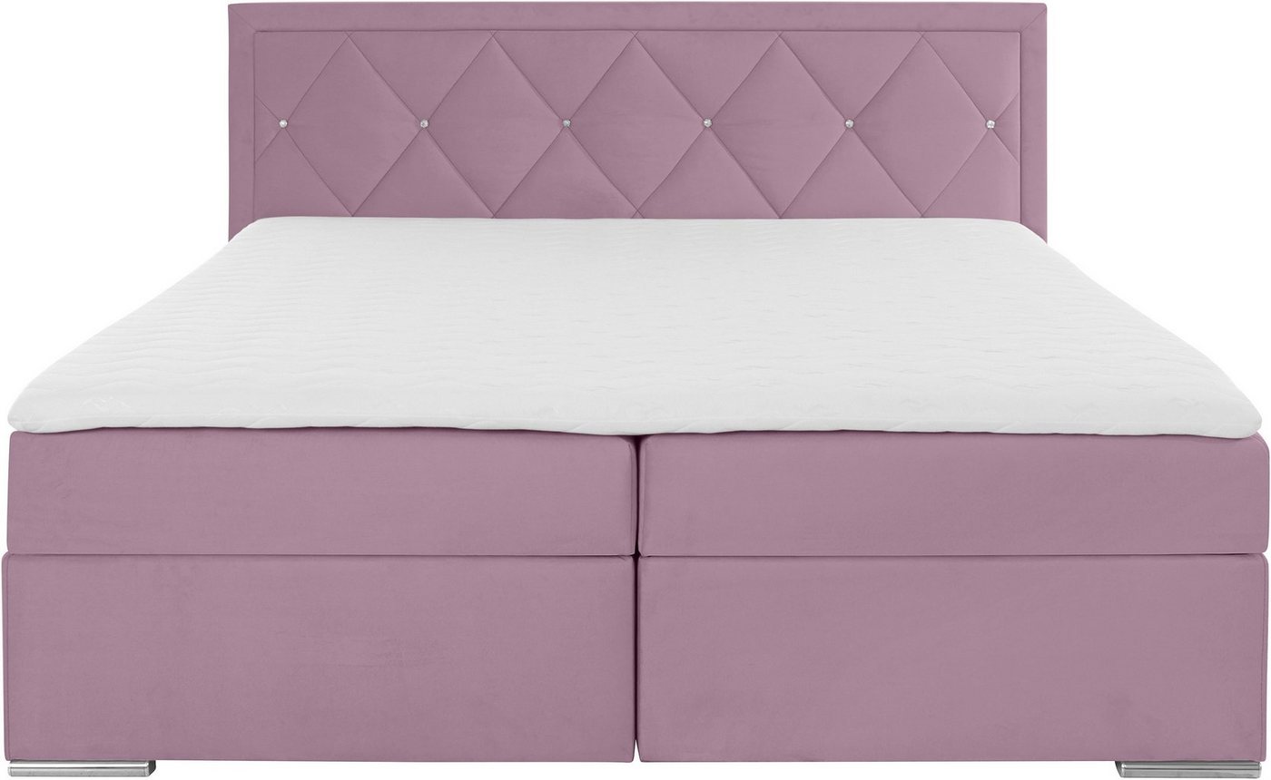 Home affaire Boxbett ALFIE, Polsterbett wahlweise mit Bettkasten, Samtvelours-Bezug (mit PUR-Schaumtopper (H2), Kaltschaumtopper (H3) oder Viscotopper (H4), mit – Bild 4 von 5