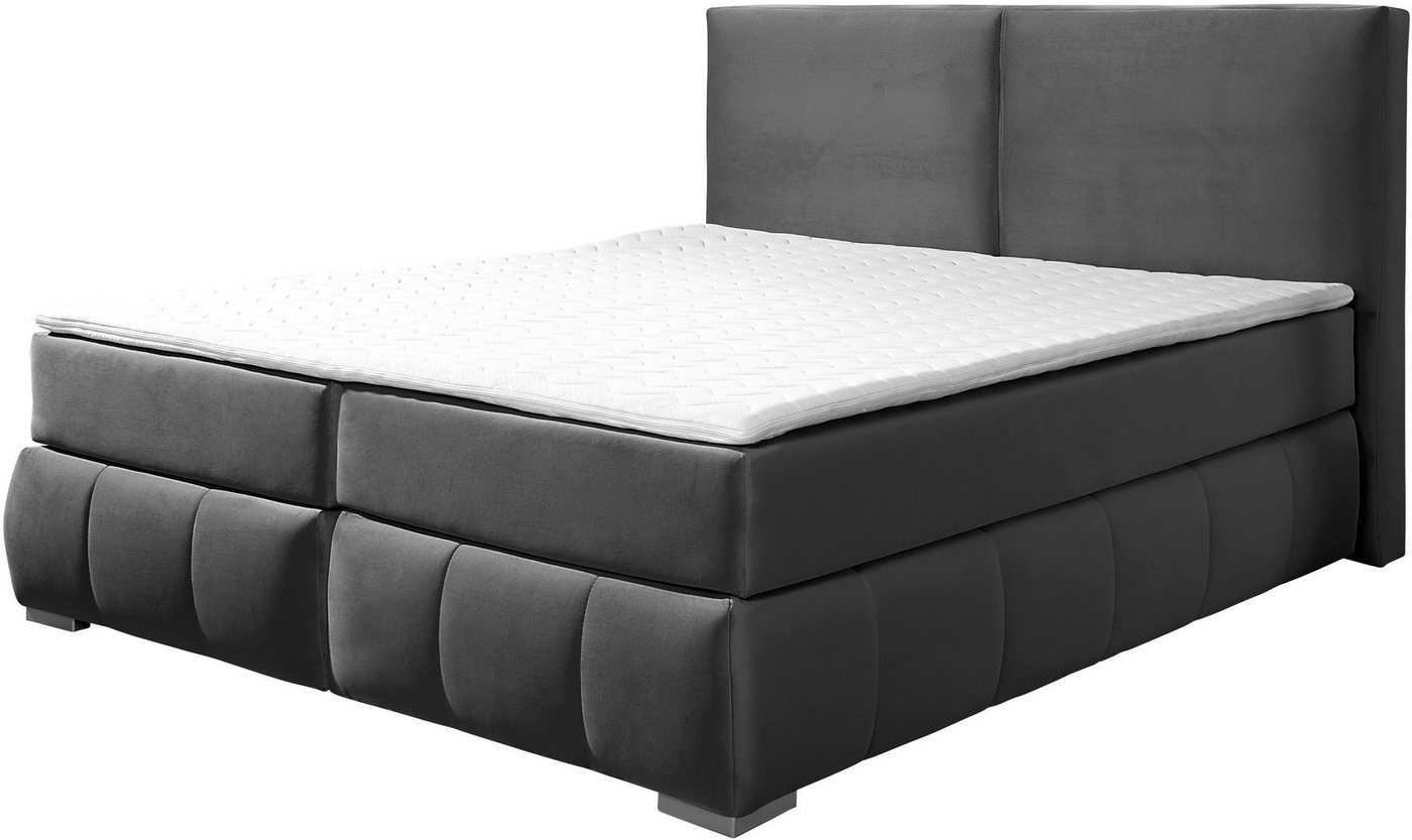 Home affaire Boxspringbett Wehma, inkl. Topper in 3 verschiedenen Matratzen, auch in Samtstoff – Bild 2 von 5
