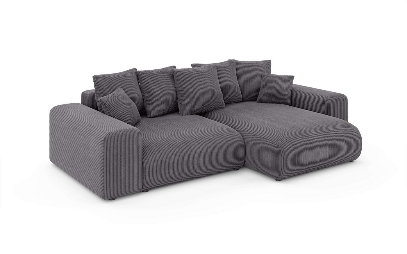 Home affaire Ecksofa LAKESIDE mit Bettfunktion und Bettkasten, B/T/H 257/166/84 cm, L-Form, Recamiere beidseitig montierbar, mit Wellenunterfederung – Bild 5 von 5