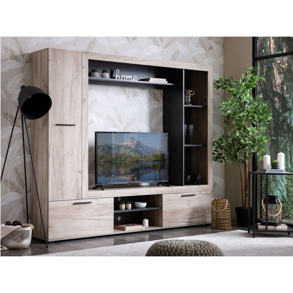 Home affaire Wohnwand Lorca Medienwand, Wohnzimmerwand, TV-Wand, (4-St), Moderne, stilvolle Wohnwand in Eichen-Optik mit TV-Fach