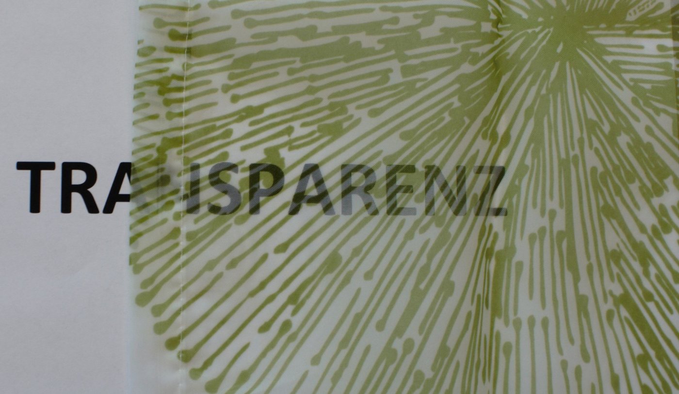 HOME WOHNIDEEN Vorhang RAWLINS (1 St), Schlaufen, transparent, Microfaser, Schal aus Voile bedruckt – Bild 4 von 5