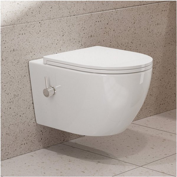 HOROW Dusch-WC Taharet -WC mit Softclose Toilettensitz, spülrandlose Toilette, Toilette mit Bidet-Funktion, Abgang waagerecht, Set, Wand-WC mit WC-Sitz Absenkau