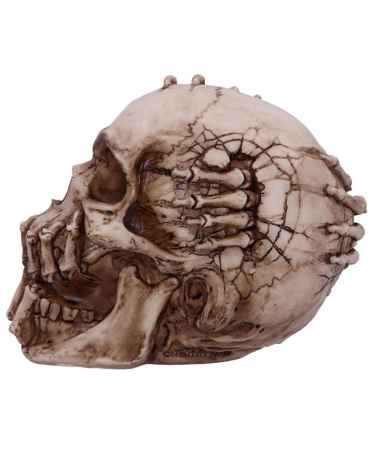 Horror-Shop Dekoobjekt Breaking Out Skull, James Ryman Totenkopf für Sam – Bild 3 von 5