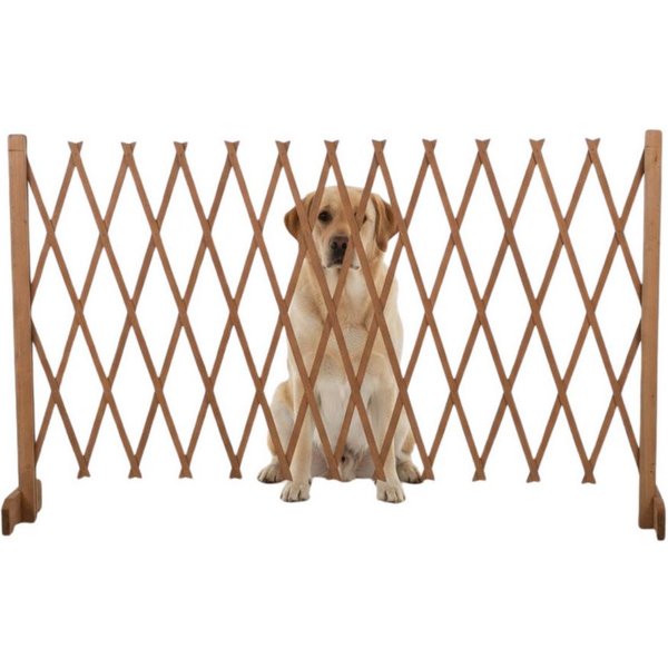 maxxpro Hundegitter maxxpro Absperrgitter Hund Versenkbarer Hundegitter (1x Hunde-Absperrgitter)