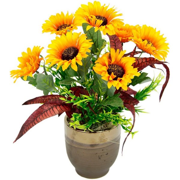 Gestecke Sonnenblumen Sonnenblume, I.GE.A., Höhe 40 cm, Im Topf aus Keramik