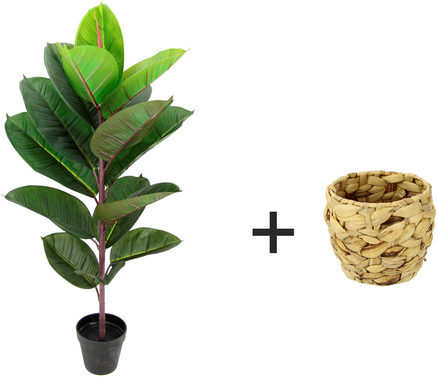 Kunstbaum Gummibaum, I.GE.A., Höhe 84 cm, Mit Übertopf, Ficus Elastica – Bild 2 von 4