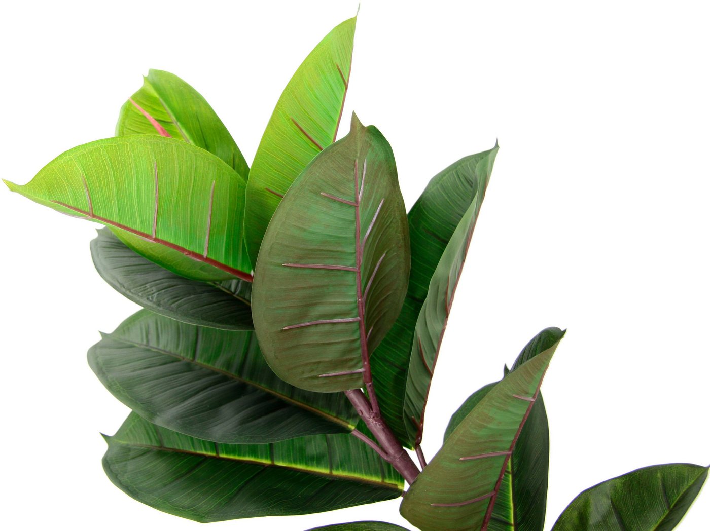 Kunstbaum Gummibaum, I.GE.A., Höhe 84 cm, Mit Übertopf, Ficus Elastica – Bild 3 von 4
