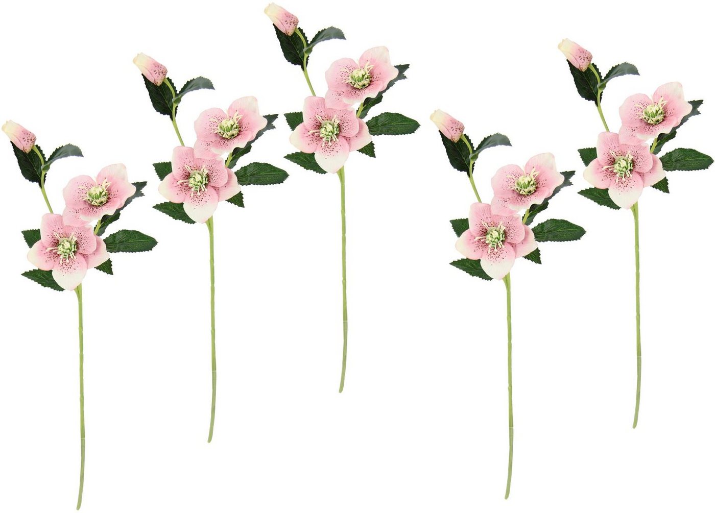 Kunstblume Christrose, I.GE.A., Höhe 57 cm, Künstlich Seidenblumen, 5er Set – Bild 3 von 3