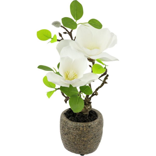 Kunstblume Magnolie im Topf, I.GE.A., Höhe 33 cm, Künstlich wie echt Deko Blume Zimmerpflanze Baum klein Magnolienblüten