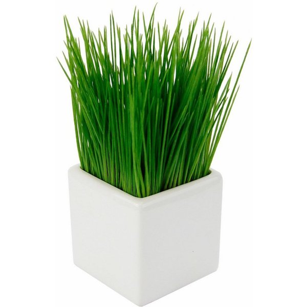 Kunstpflanze Gras Gras, I.GE.A., Höhe 22 cm