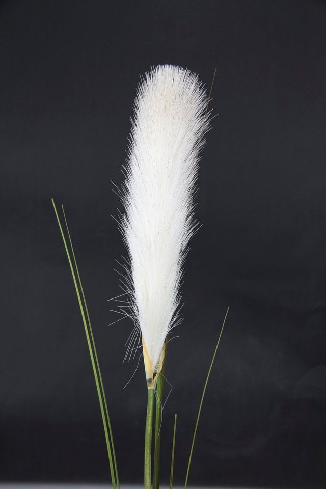 Kunstpflanze Pampas, I.GE.A., Höhe 125 cm, Pampasgras, Boho, 2er Set – Bild 2 von 5
