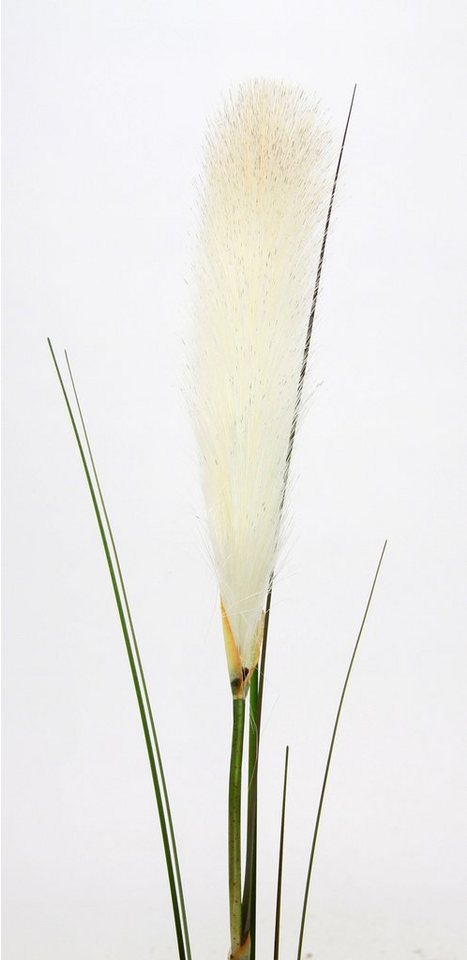 Kunstpflanze Pampas, I.GE.A., Höhe 125 cm, Pampasgras, Boho, 2er Set – Bild 3 von 5