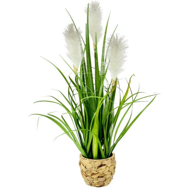Kunstpflanze Pampasgras, I.GE.A., Höhe 55 cm, Mit Übertopf, künstliches Pampas Gras