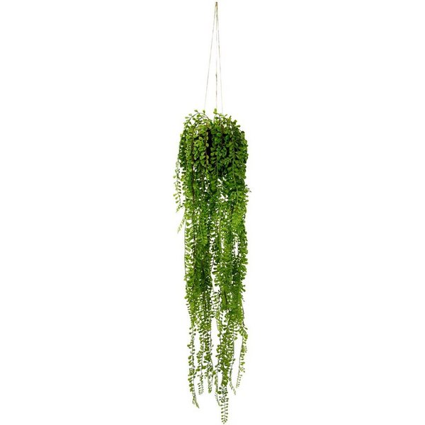 Kunstpflanze Seneciohänger, I.GE.A., Höhe 75 cm, Mit Hängeampel