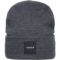 ICEPEAK Herren HARCOURT, Größe ONE SIZE in Grau