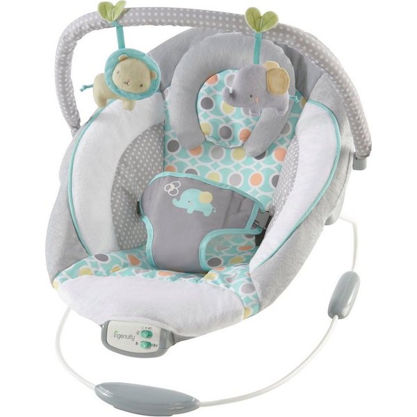 ingenuity Babywippe Soothing Bouncer, Morrison