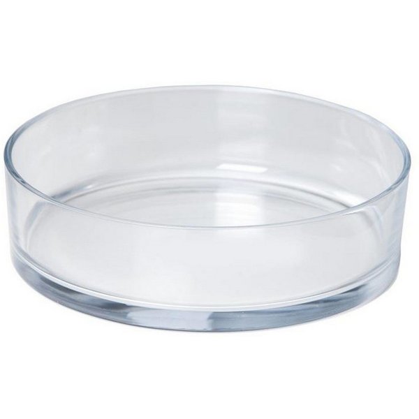 INNA-Glas Dekoschale Glasschale VERA OCEAN, transparent, 8cm, Ø29cm