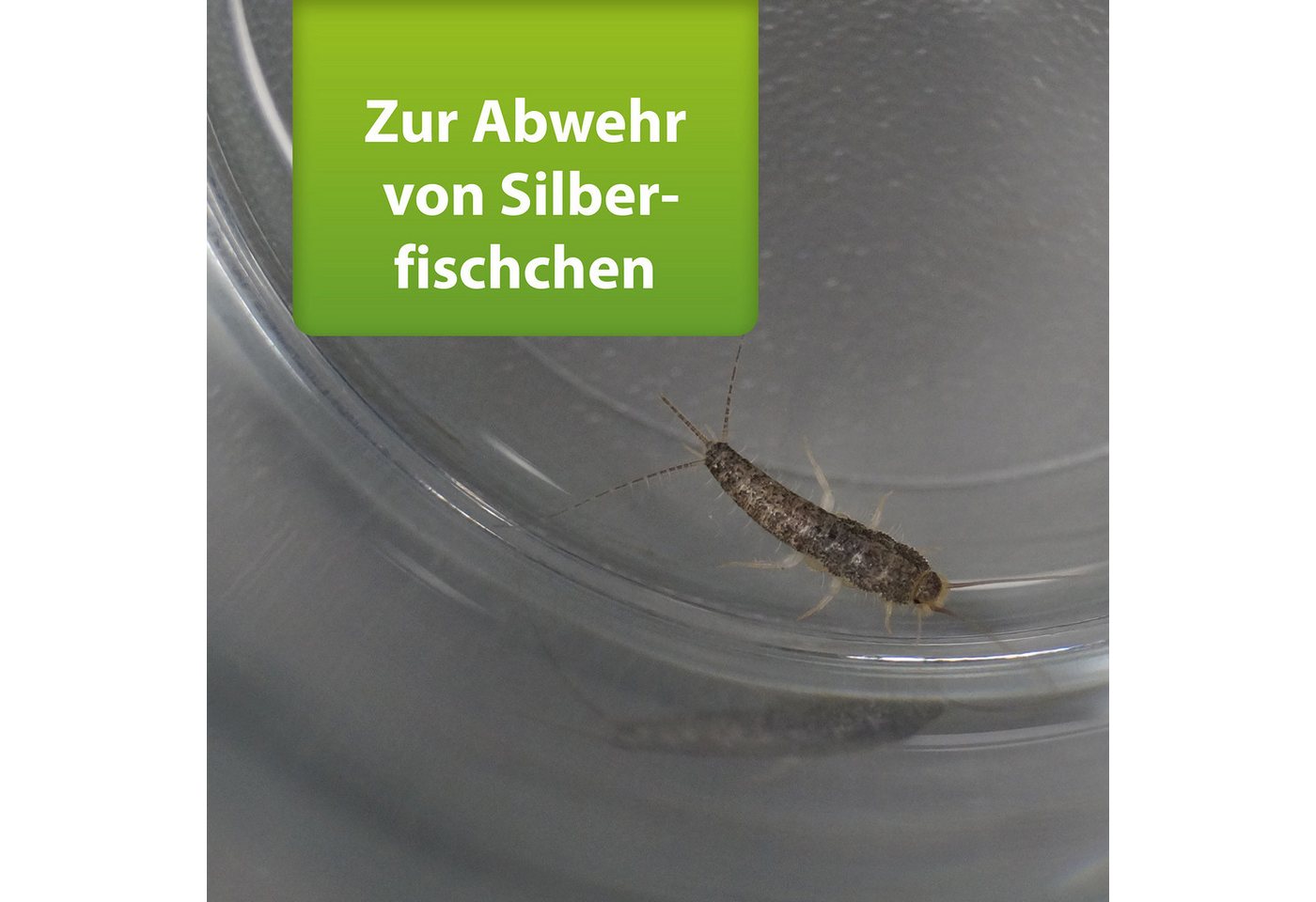 Ardap Insektenspray ARDAP Repell Silberfischchen Spray 400 ml – Bild 3 von 5