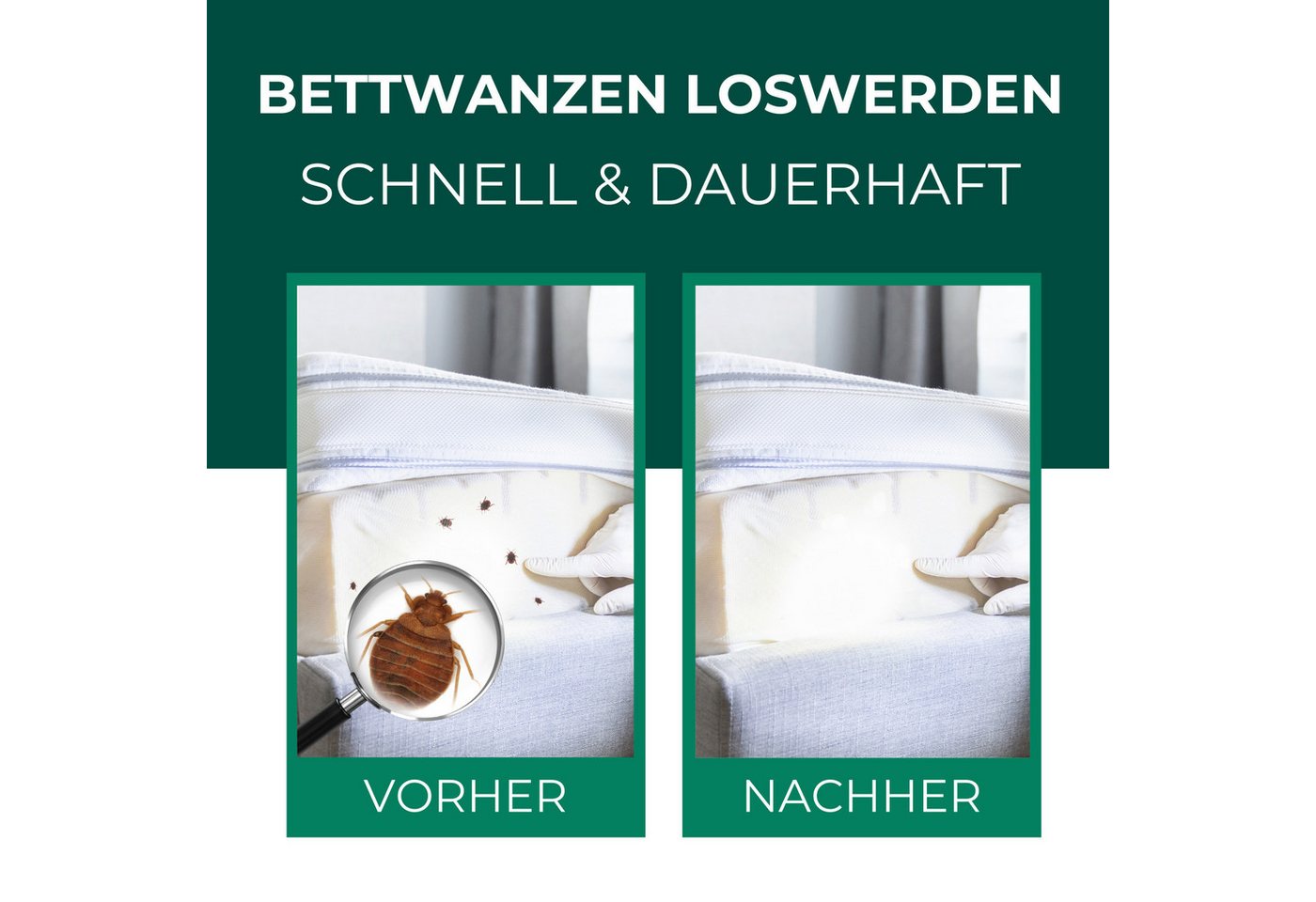 Silberkraft Insektenspray Silberkraft Bettwanzenspray, hält Textilien frei von Bettwanzen, 500 ml, 2-St., Sofortige & langanhaltende Wirkung gegen Bettwanzen, o – Bild 3 von 5
