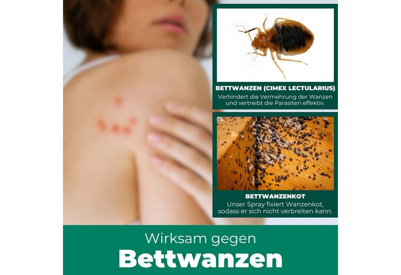 Silberkraft Insektenspray Silberkraft Bettwanzenspray, hält Textilien frei von Bettwanzen, 500 ml, 2-St., Sofortige & langanhaltende Wirkung gegen Bettwanzen, o – Bild 5 von 5