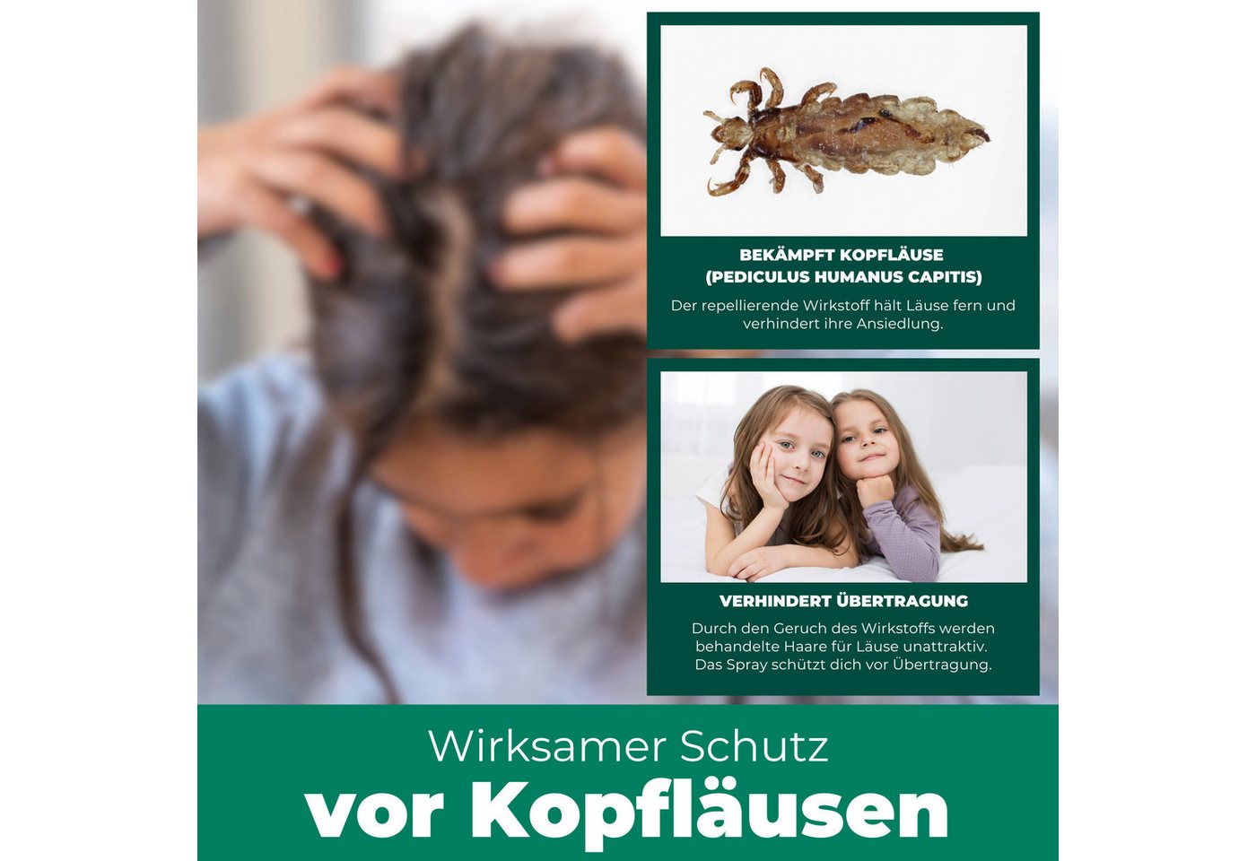 Silberkraft Insektenspray Silberkraft Kopfläusespray Effektiver Läuseschutz für Kopfhaut & Haare, 100.0 ml, 1-St., Läuse zuverlässig vorbeugen, Läuseabwehr für  – Bild 3 von 5