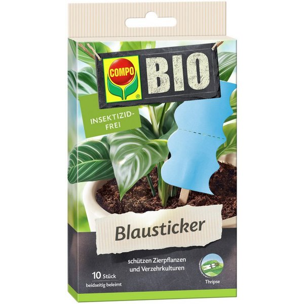 Compo Insektenvernichter Compo Bio Blausticker gegen Thripse 10 Stück