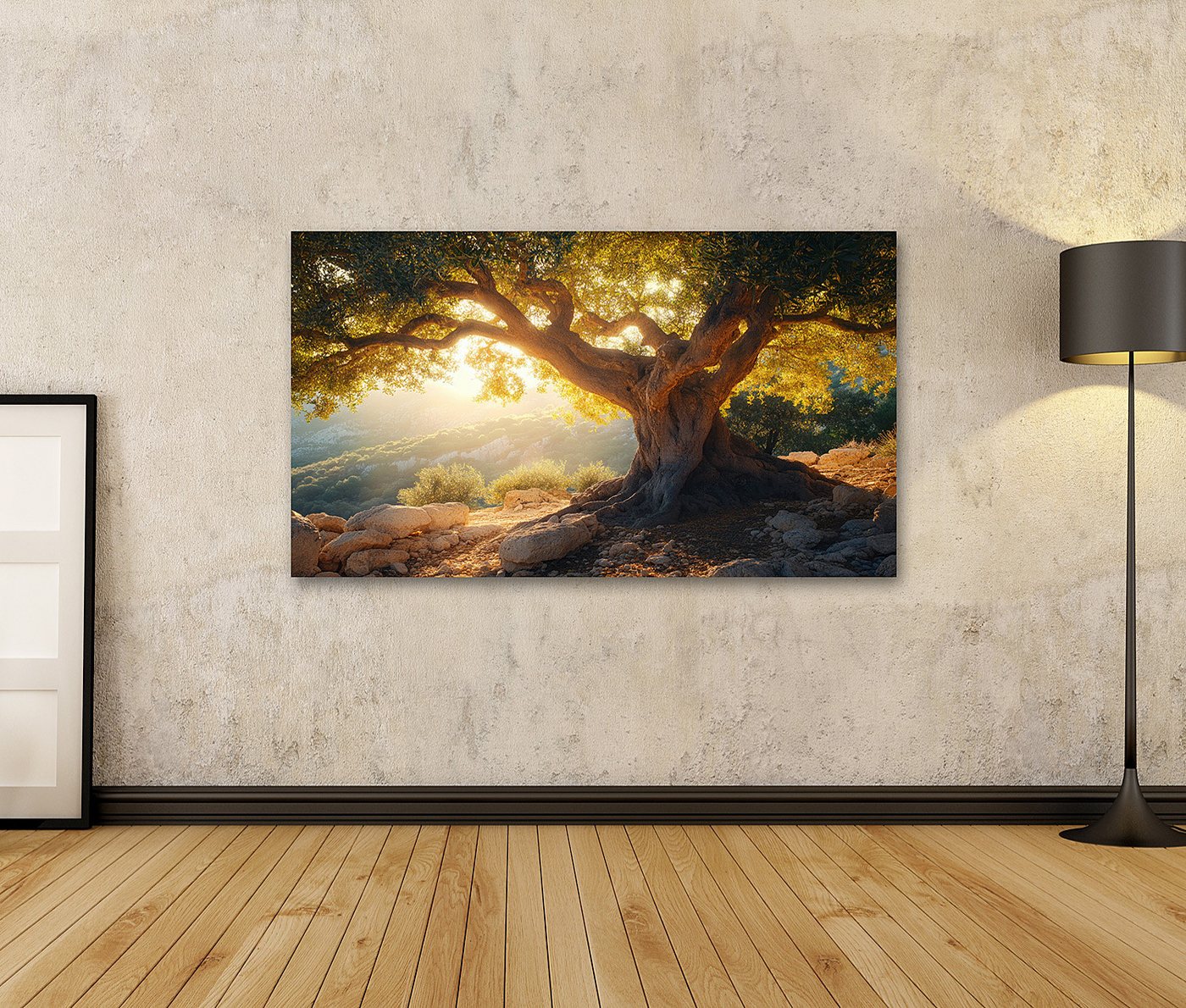 islandburner Leinwandbild, Alter Olivenbaum im Sonnenunterganglicht – Bild 2 von 4