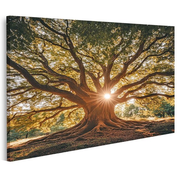 islandburner Leinwandbild, Mächtiger Baum mit Sonnenstrahlen