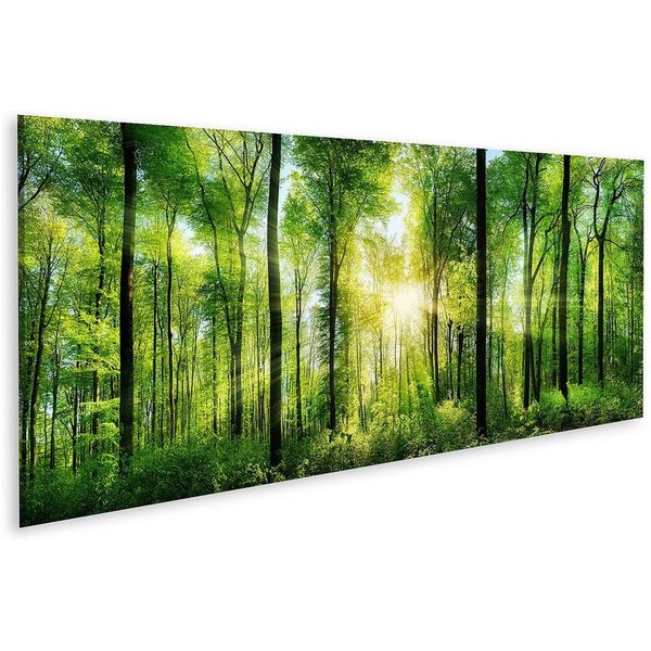 islandburner Leinwandbild Bild auf Leinwand Panorama Von Einem Malerischen Wald Von Frischen Grü